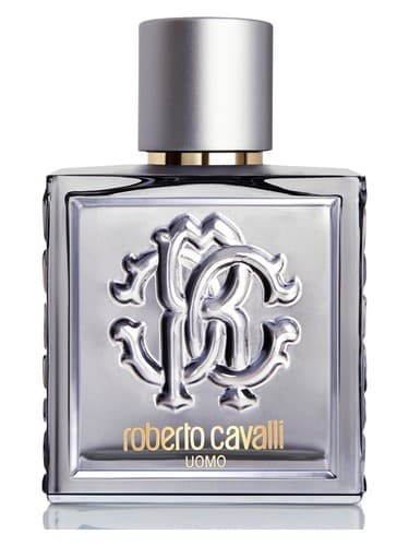 Roberto Cavalli Uomo Silver Essence - اسانس سیلور روبرتو کاوالی اومو