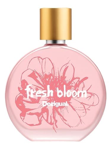 Fresh Bloom - شکوفه تازه