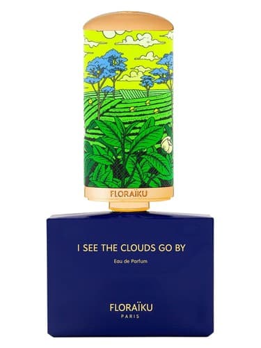 I See the Clouds Go By