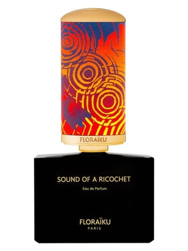 Sound of a Ricochet - صدای کمانه
