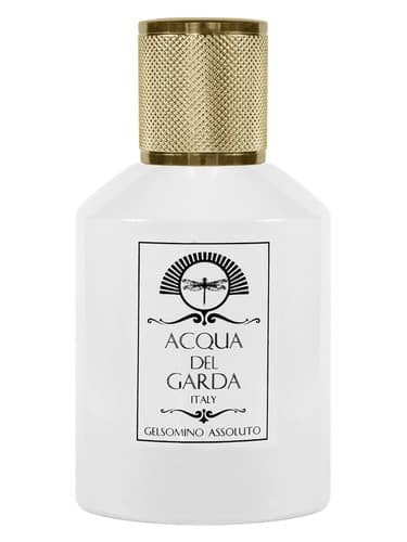Gelsomino Assoluto