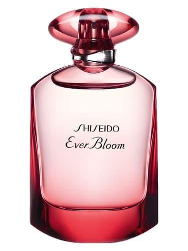 Ever Bloom Ginza Flower