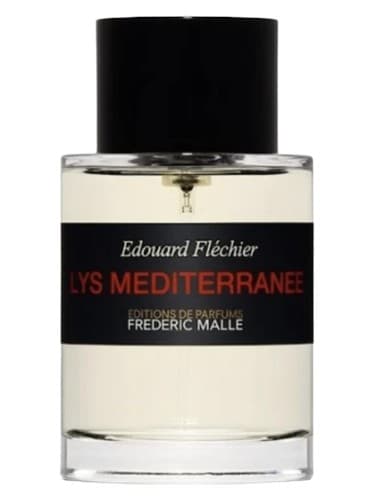 Lys Mediterranee