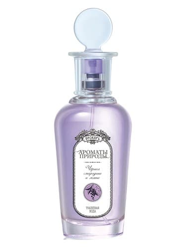 Черная смородина и мята - Black currant and Mint