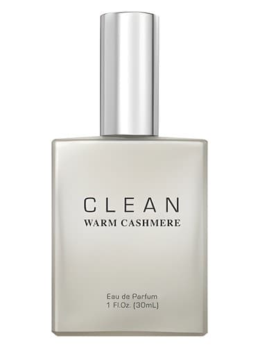Clean Warm Cashmere