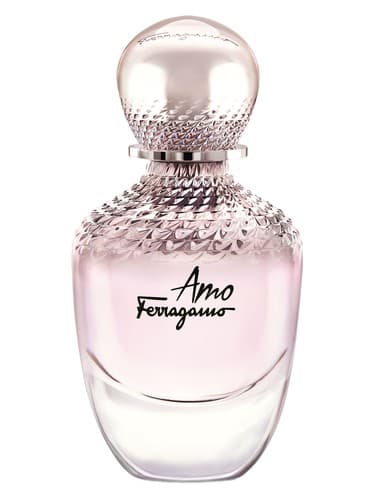 Amo Ferragamo - آمو فراگامو