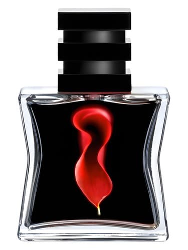 Nº 21 - شماره 21