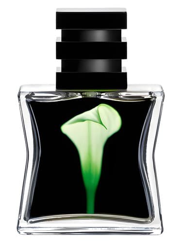 Nº 22