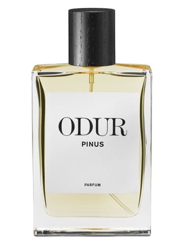 Pinus - کاج