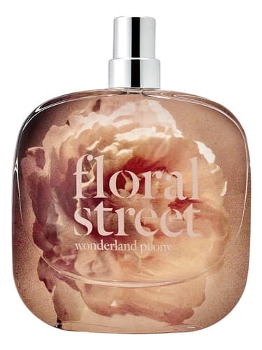 Wonderland Peony - گل صد تومانی سرزمین عجایب