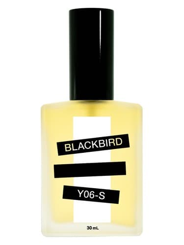 Y06-S 