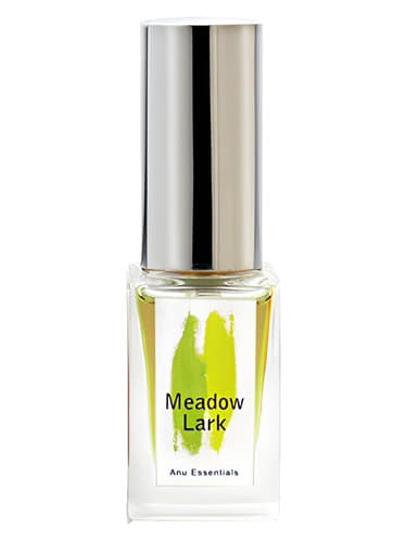 Meadowlark - علفزار