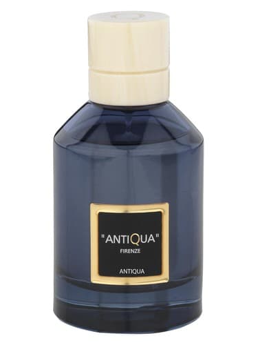 Antiqua - عتیقه