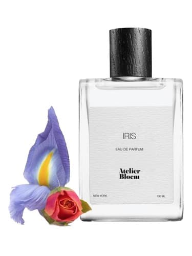 Iris - زنبق