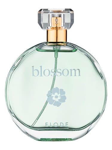 Blossom - شکوفه دادن