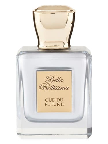 Oud du Futur II 