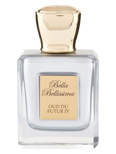 Oud Du Futur IV 