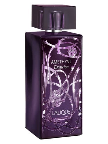 Amethyst Exquise - آمیتیست نفیس