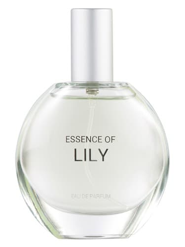 Essence of Lily - جوهر لیلی