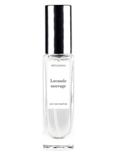 Lavande Sauvage