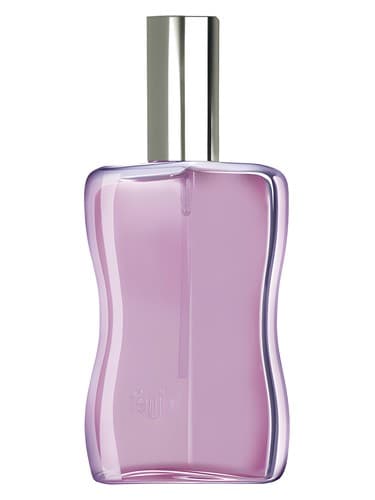 Miss Fenjal Velvet Orchid - ارکیده مخملی خانم Fenjal