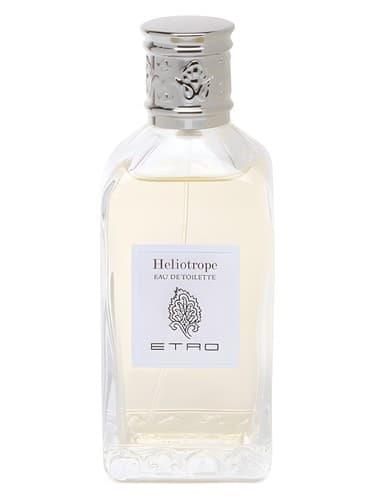 Heliotrope - هلیوتروپ