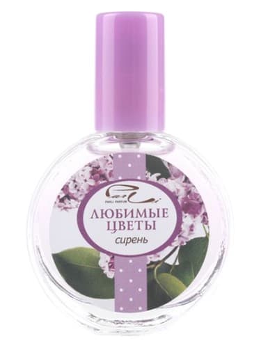 Сирень (Lilac) - Сирень (یاس وایولت)