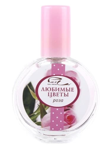 Роза (Rose) - رزا (رز)