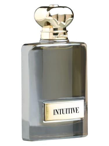 Intuitive - شهودی