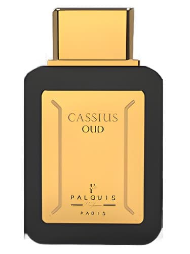 Cassius Oud
