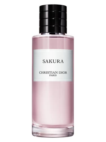 Sakura - ساکورا