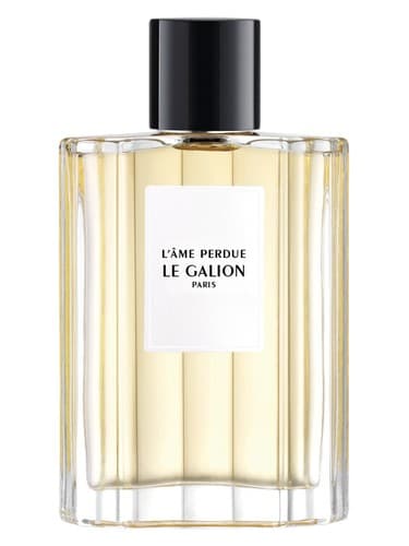 L'âme Perdue 