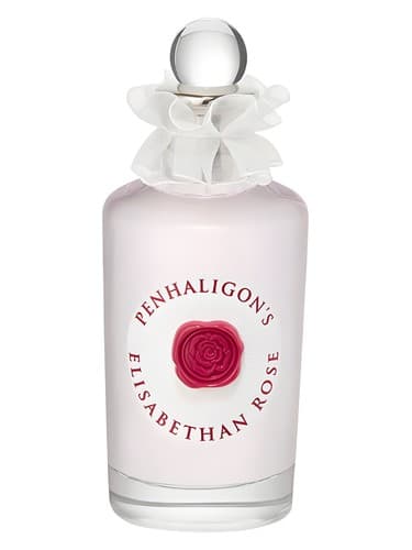 Elisabethan Rose