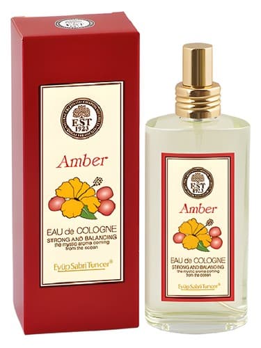 Amber - امبر