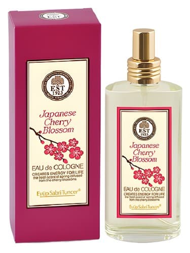 Japanese Cherry Blossom