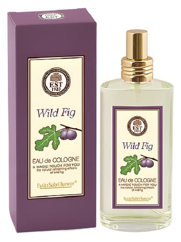 Wild Fig - انجیر وایلد