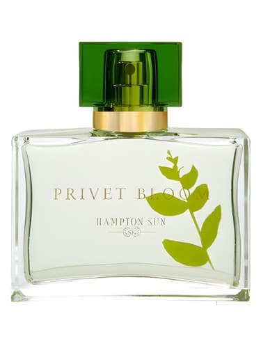 Privet Bloom - پریوت بلوم