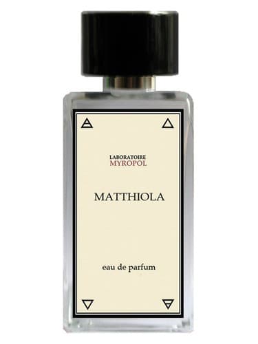 Matthiola - ماتیولا