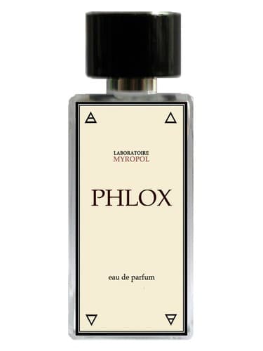 Phlox