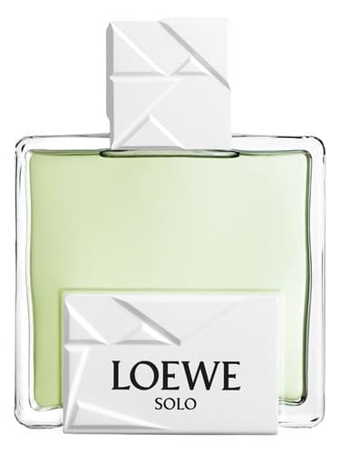 Solo Loewe Origami