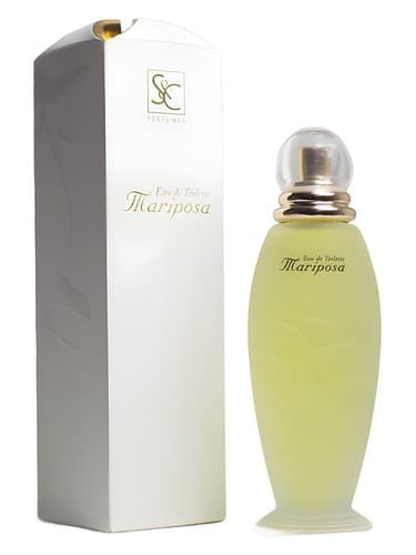 Mariposa - ماریپوزا