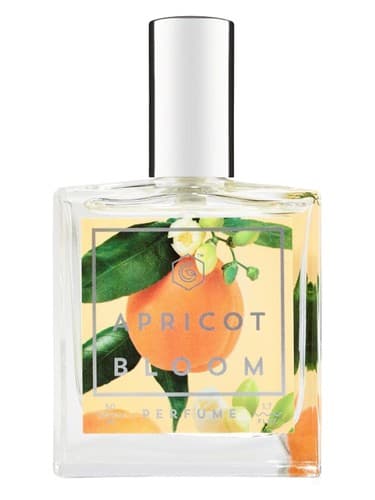 Apricot Bloom - شکوفه زردآلو