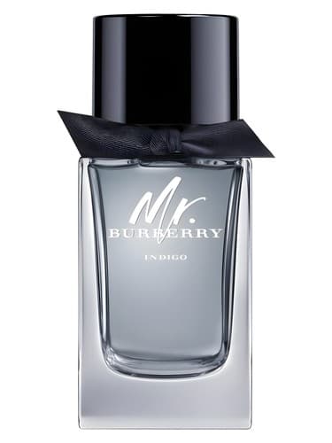 Mr. Burberry Indigo - آقای باربری نیلی