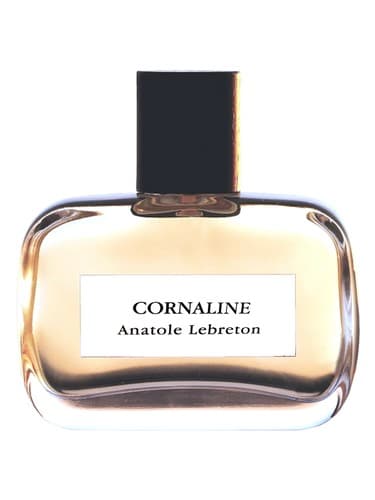 Cornaline - کورنالین