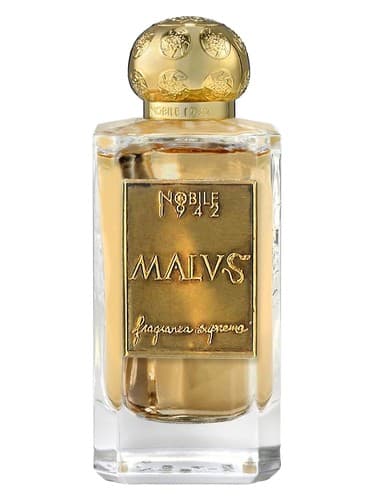 MALVS