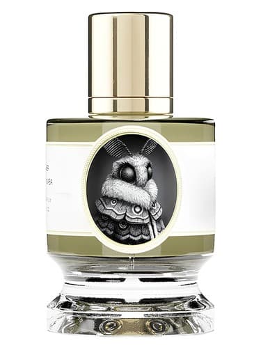 Moth - پروانه