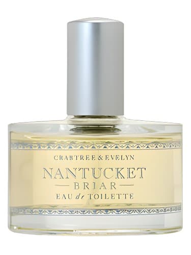 Nantucket Briar - نانتاکت بریار
