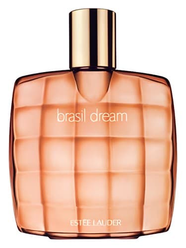 Brasil Dream