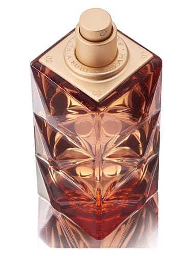 Mémoires d'une Palmeraie 17