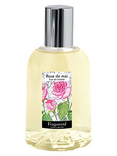Rose de Mai - رز د مای